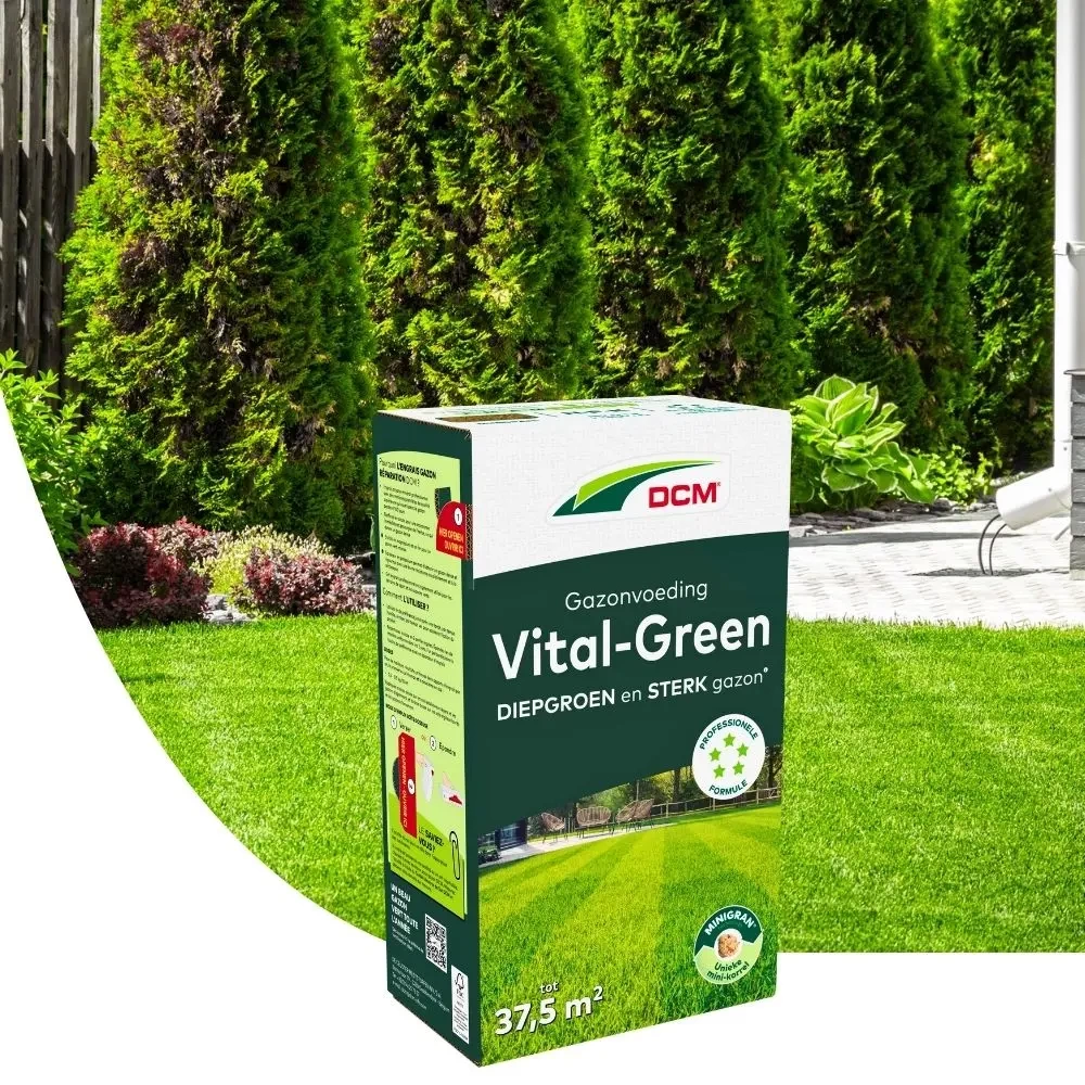 DCM Vital Green 